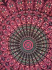 Meet your Posher, Nyla